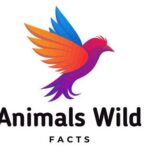 animalswildfacts.com logo