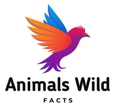Animalswildfacts