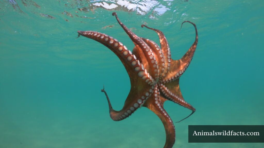 top 10 greedy animals