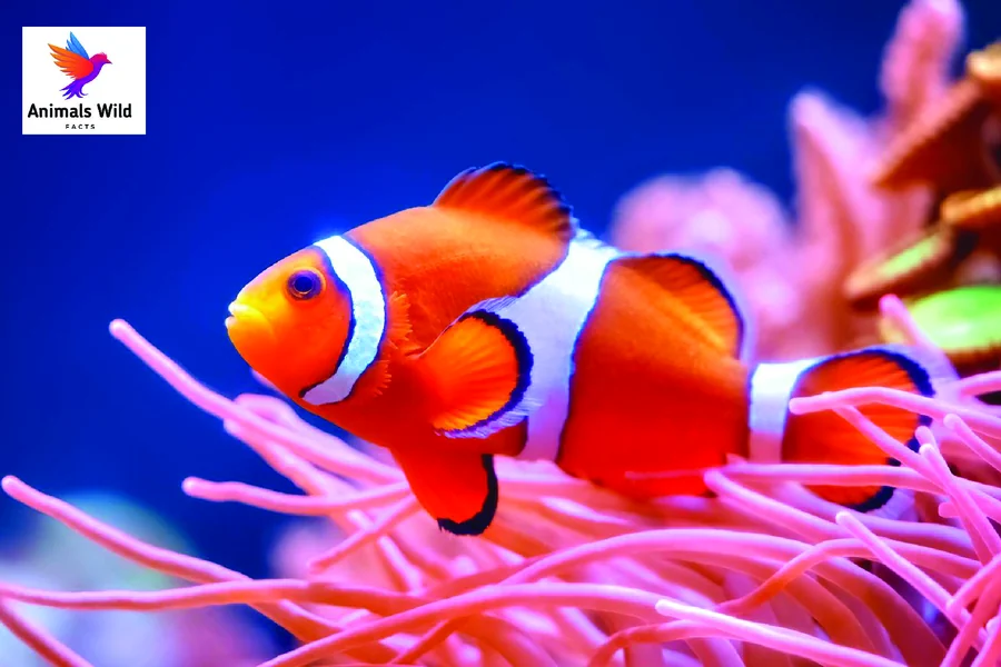 what smells do fish hate