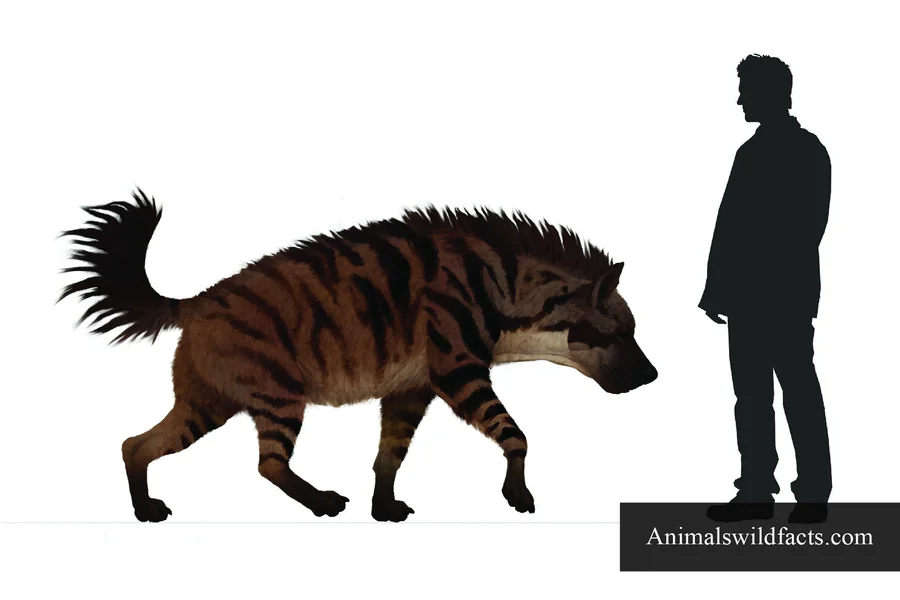Dinocrocuta 2