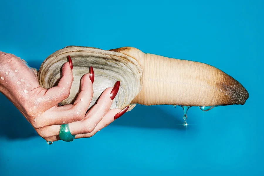 geoducks