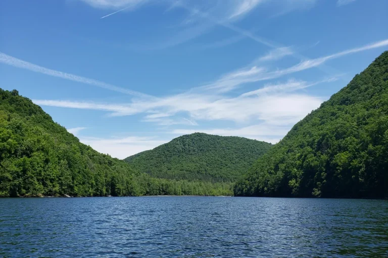 savage river reservoir