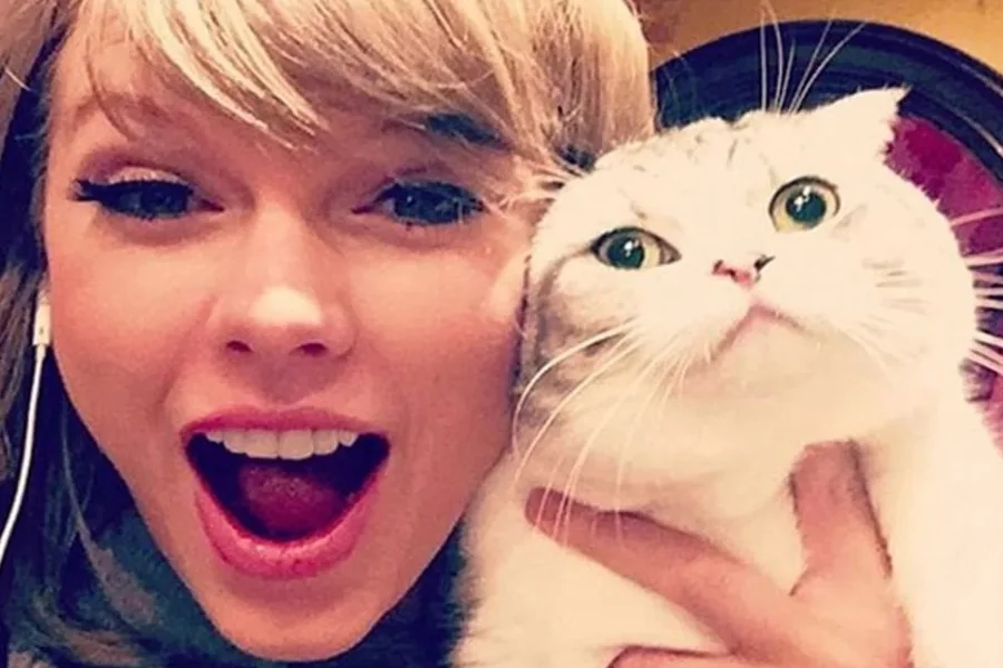 taylor swift cat names