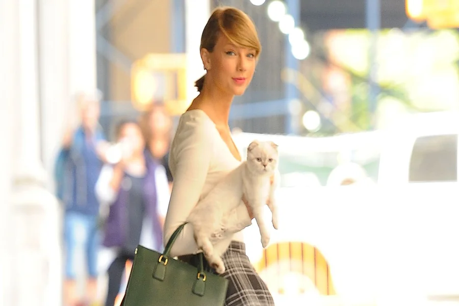 taylor swift cats names