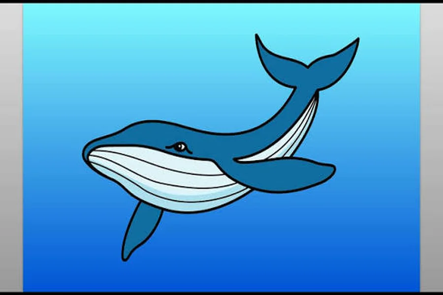 whale easy drawings