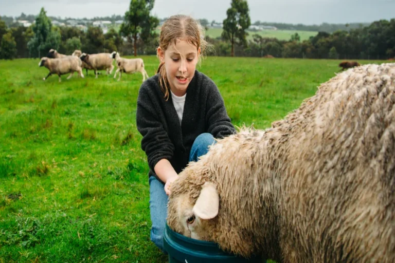 Working With Animals