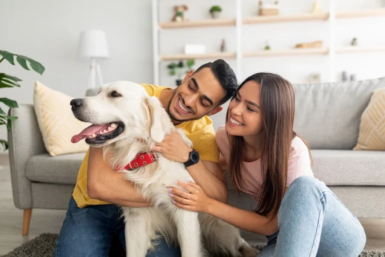 Pet Owners