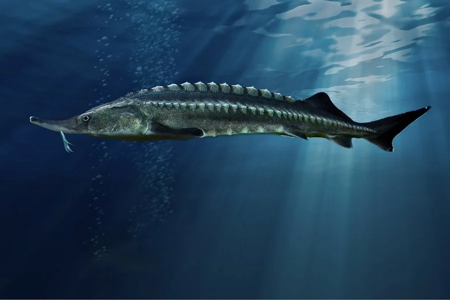 monster giant animal
